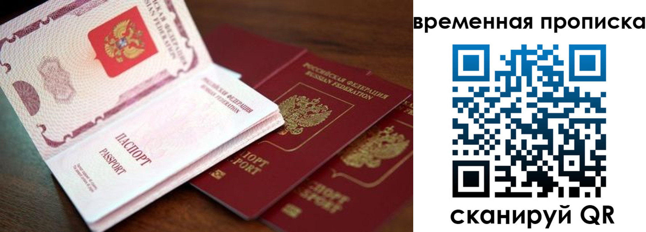 прописка штамп в Гагарине